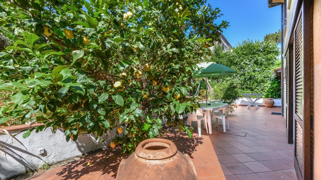 Photo of Patio Balcony in Marciana Marina