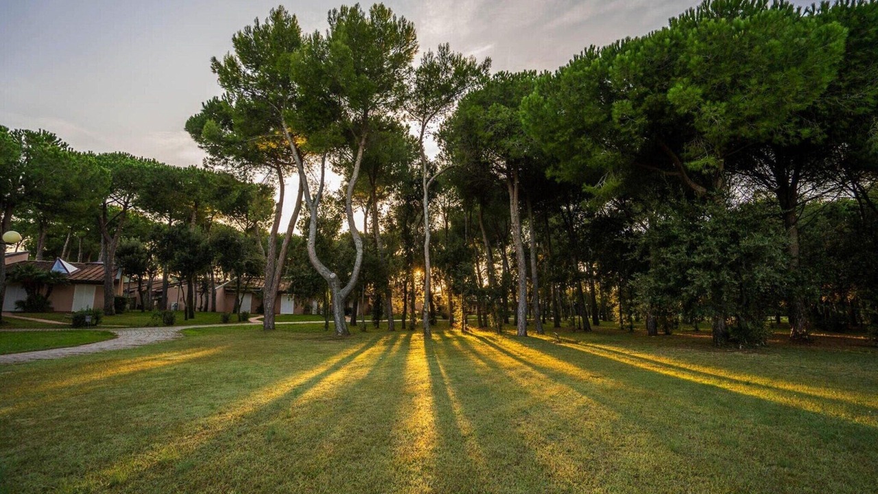Photo of Outdoor in San Vincenzo