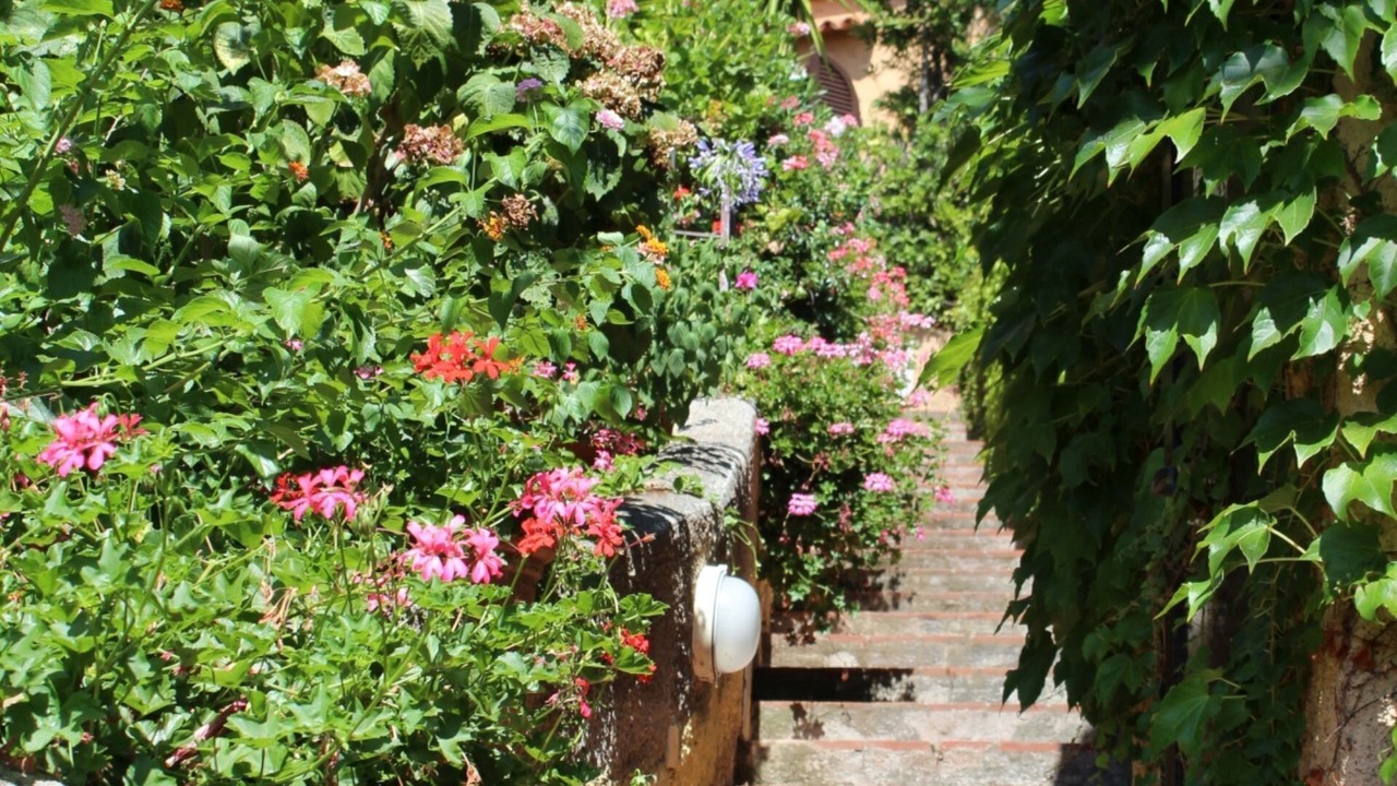 Photo of Outdoor in Magazzini