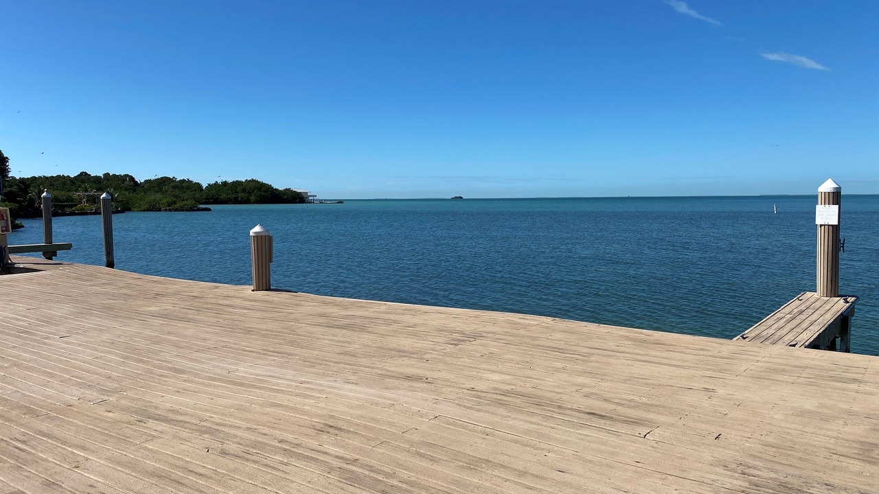 Photo of Others in Tavernier