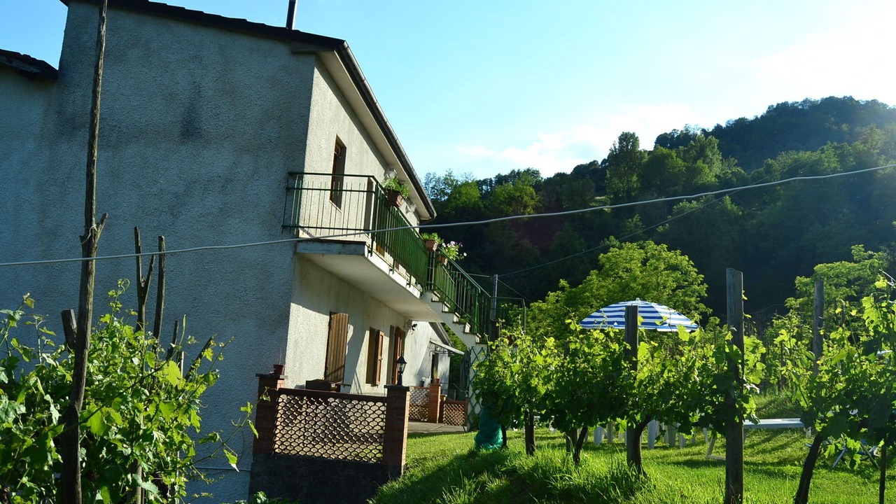Photo of Outdoor in Mologno