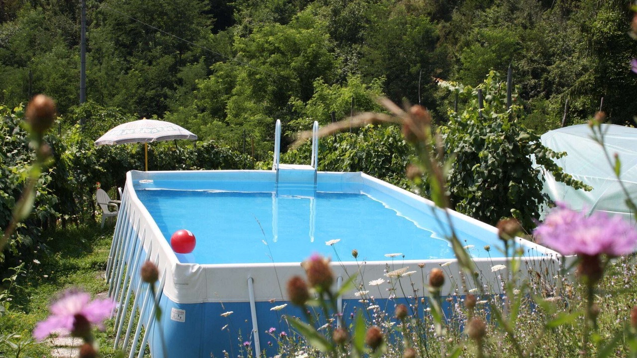 Photo of Outdoor in Mologno