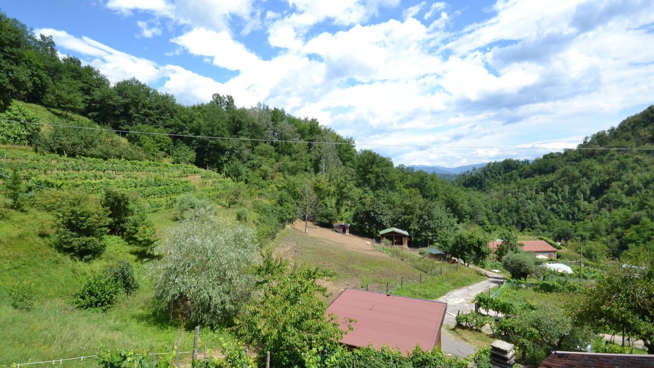 Photo of Others in Mologno