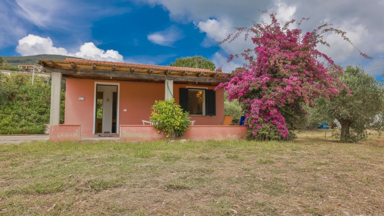 Photo of Outdoor in Lacona