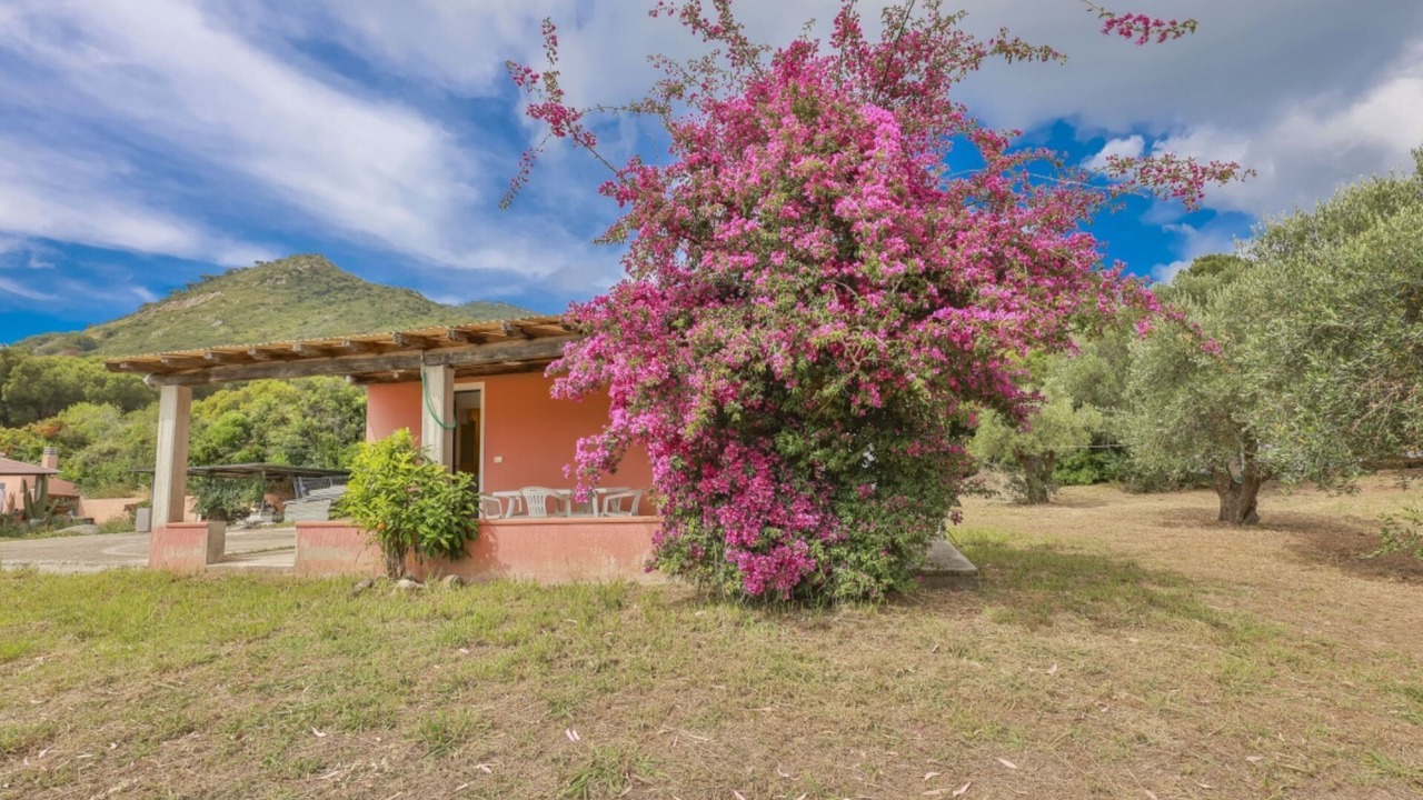 Photo of Outdoor in Lacona