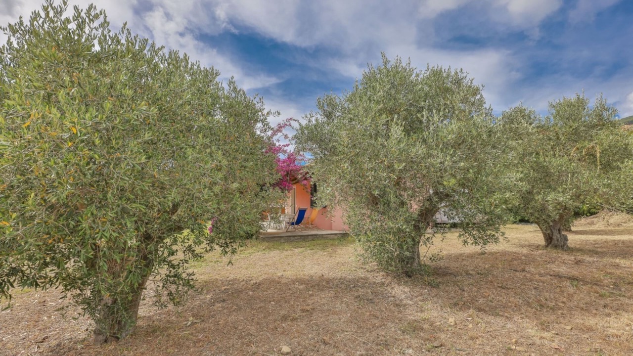 Photo of Outdoor in Lacona