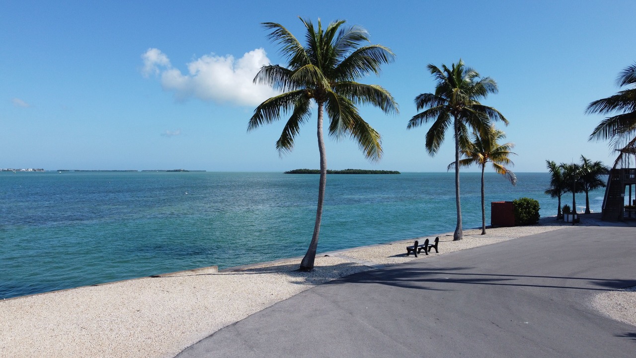 Photo of Others in Cudjoe Key