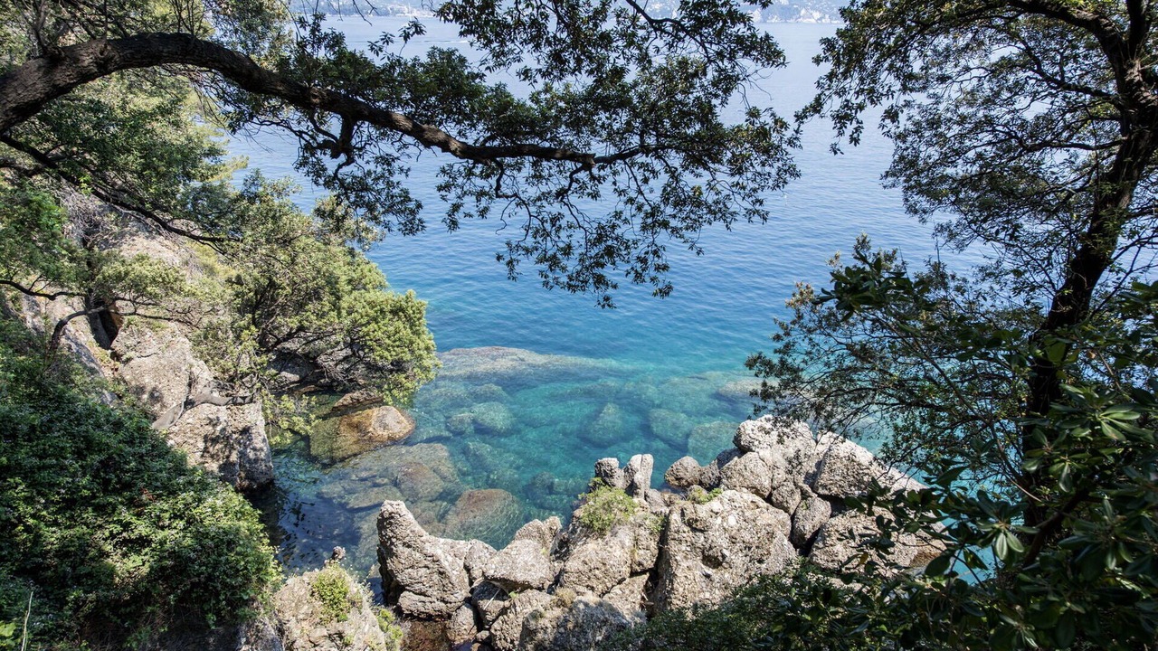 Photo of Others in Arzeno