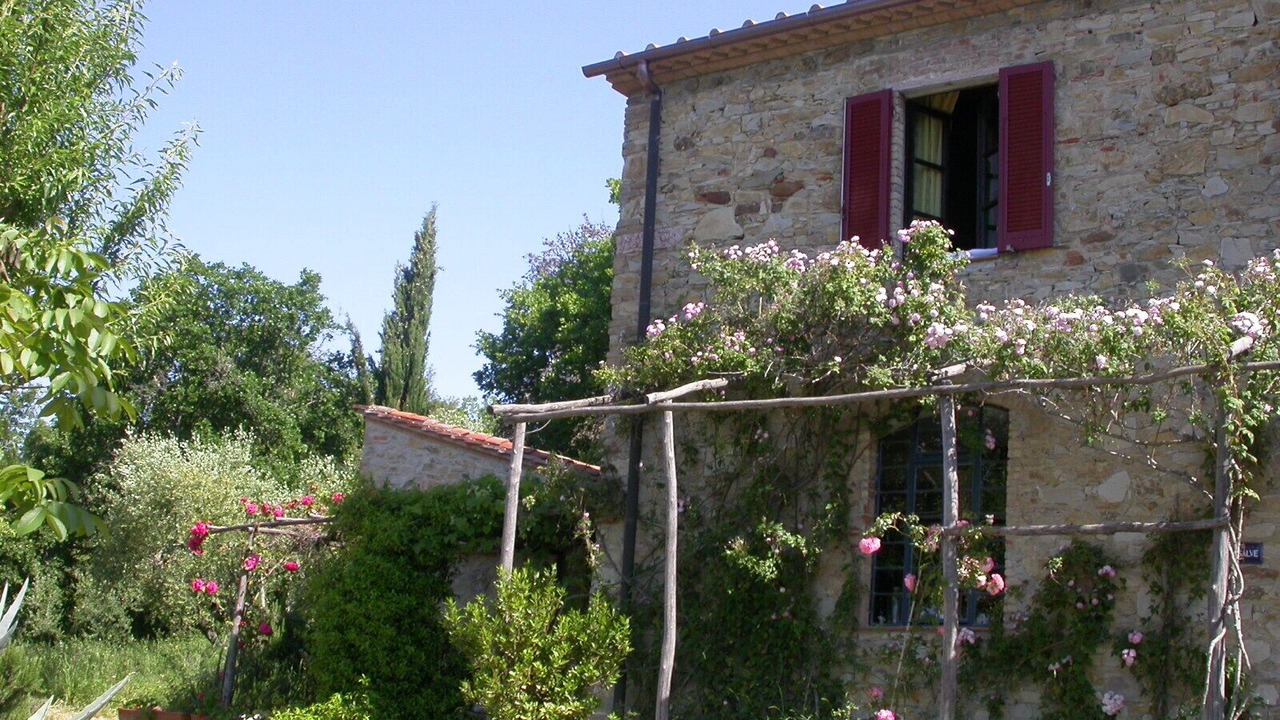 Photo of Outdoor in Sassetta