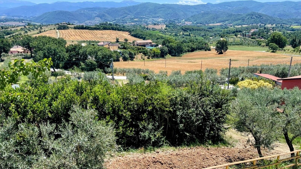 Photo of Others in Ocenelli