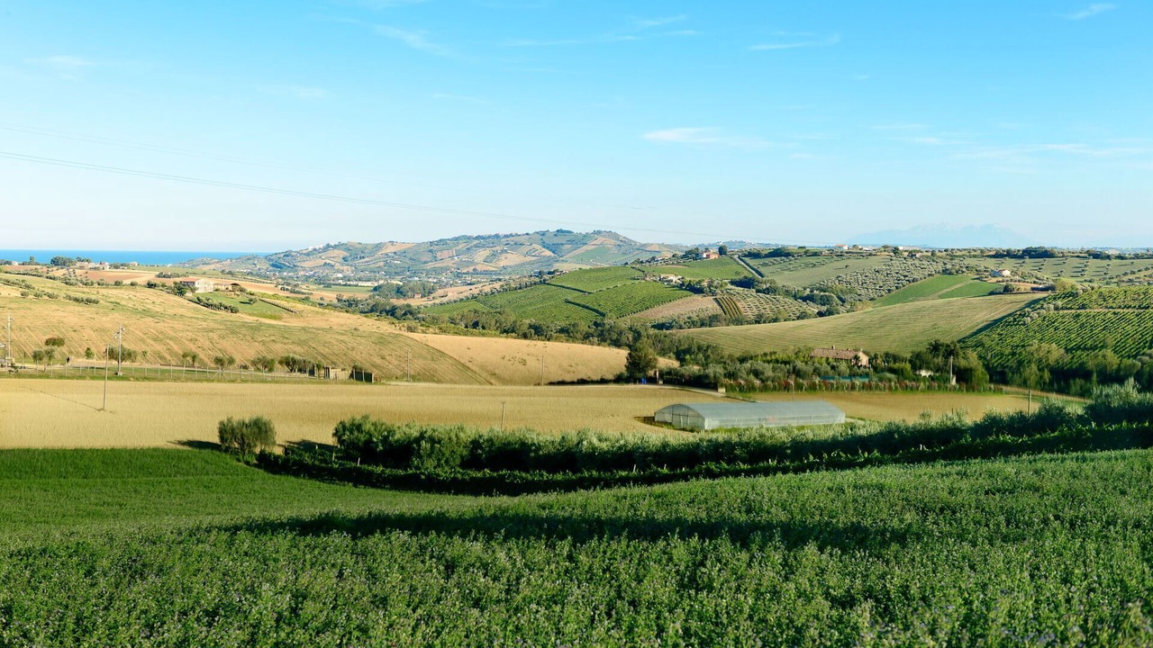 Photo of Others in Colonnella