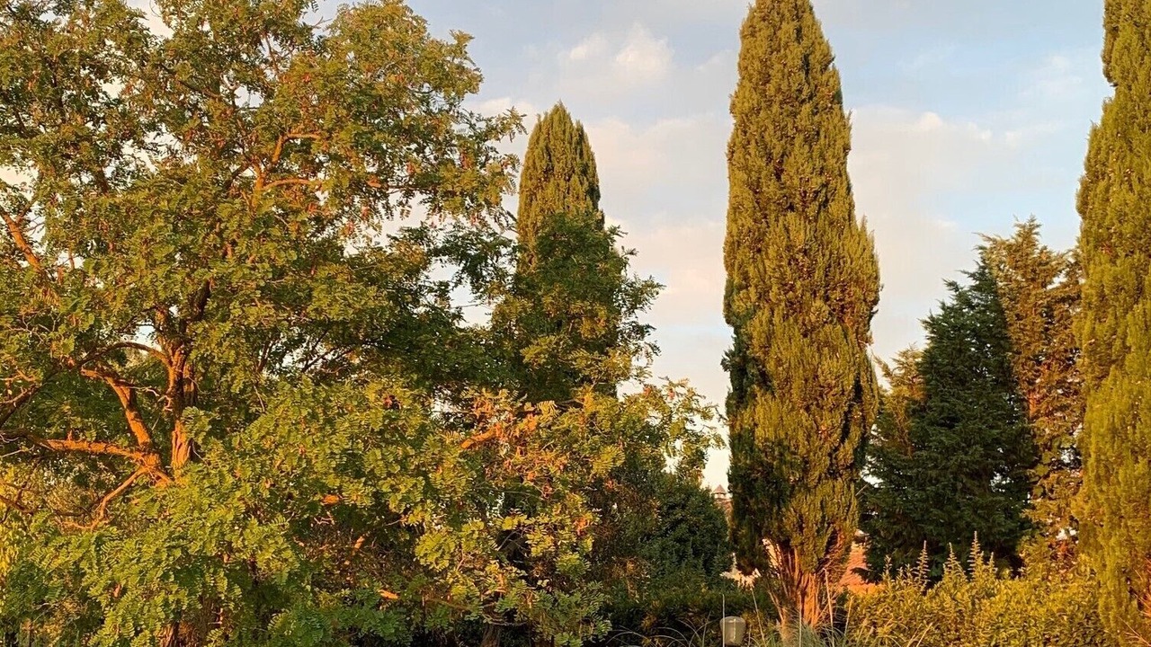 Photo of Outdoor in Calvi di Umbria