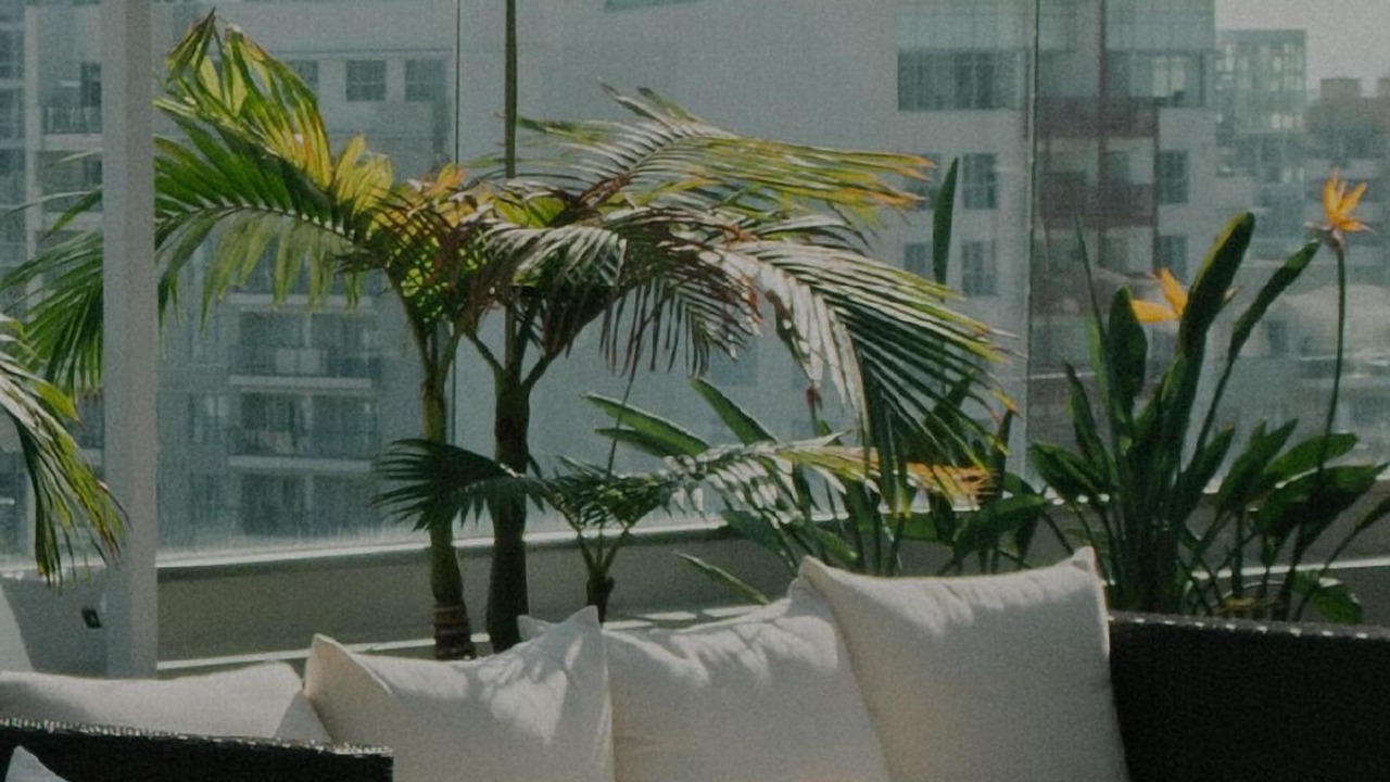 Photo of Outdoor in Los Angeles