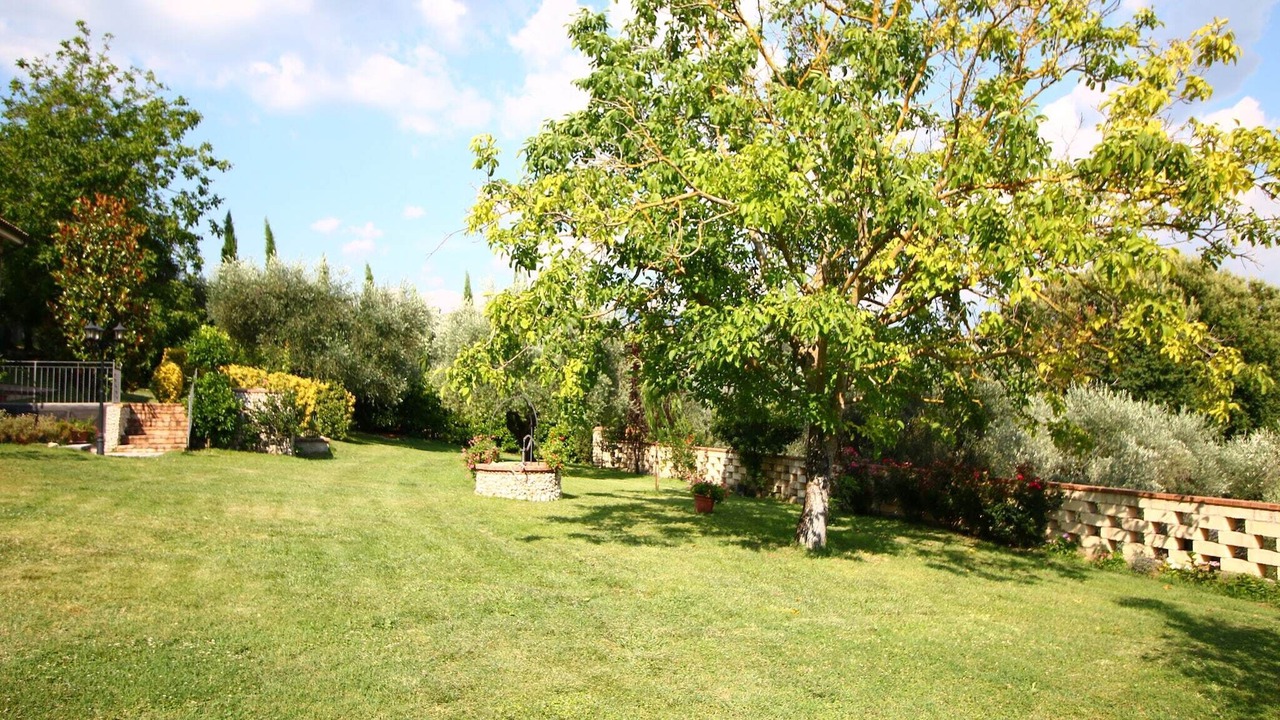 Photo of Outdoor in Selci