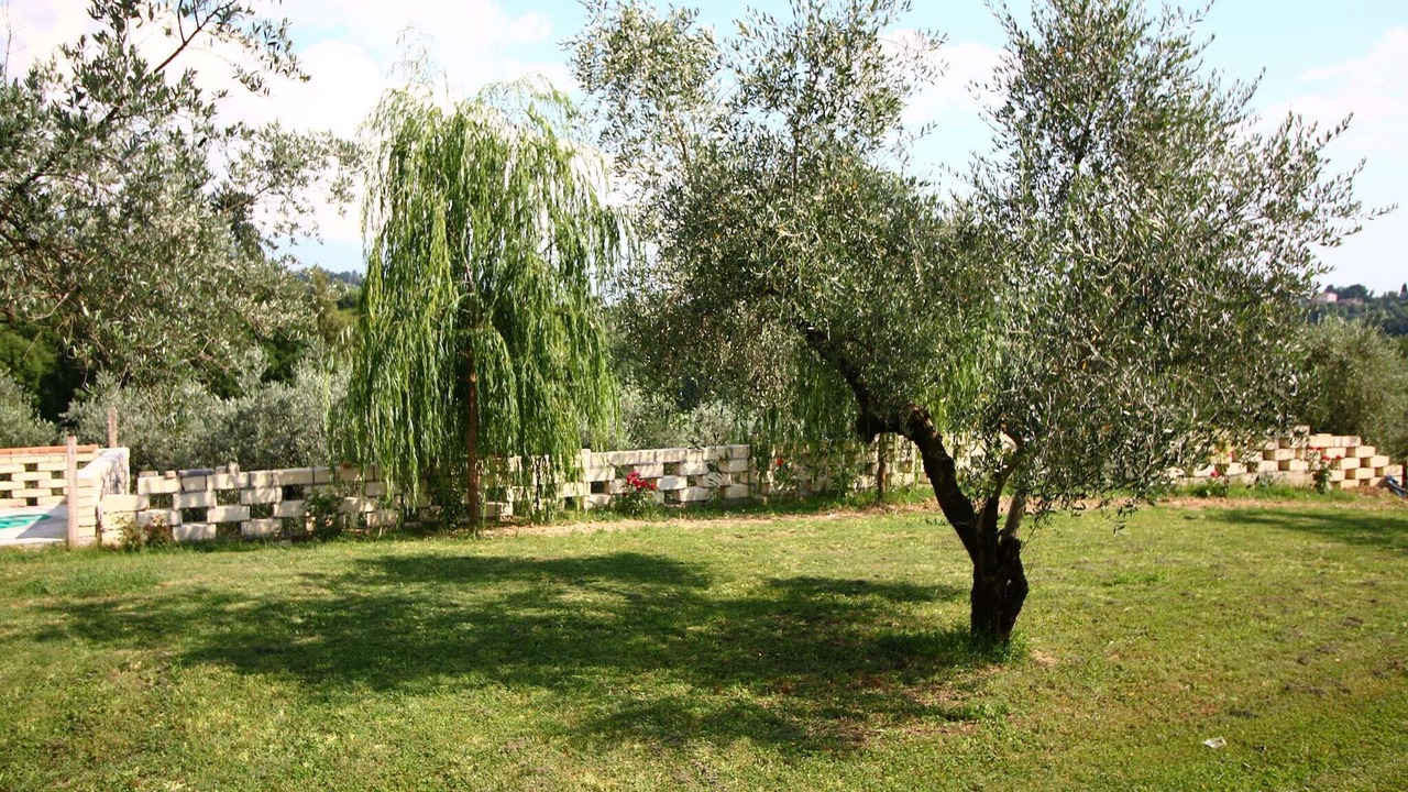 Photo of Outdoor in Selci