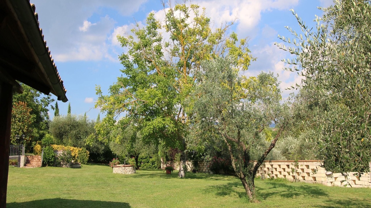 Photo of Outdoor in Selci