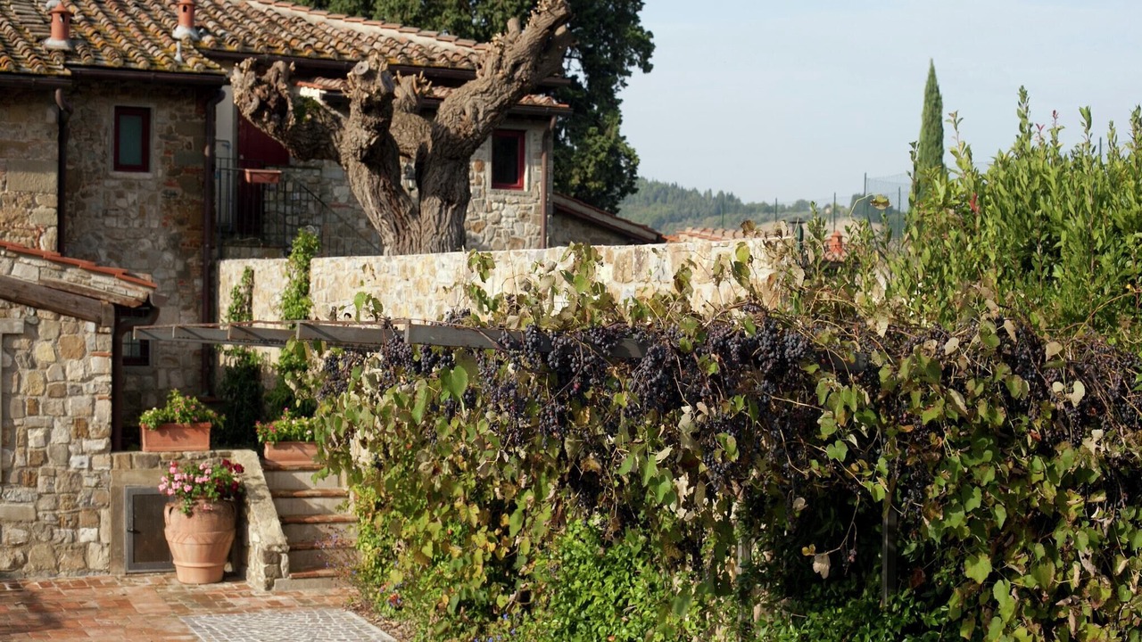 Photo of Outdoor in Greve in Chianti