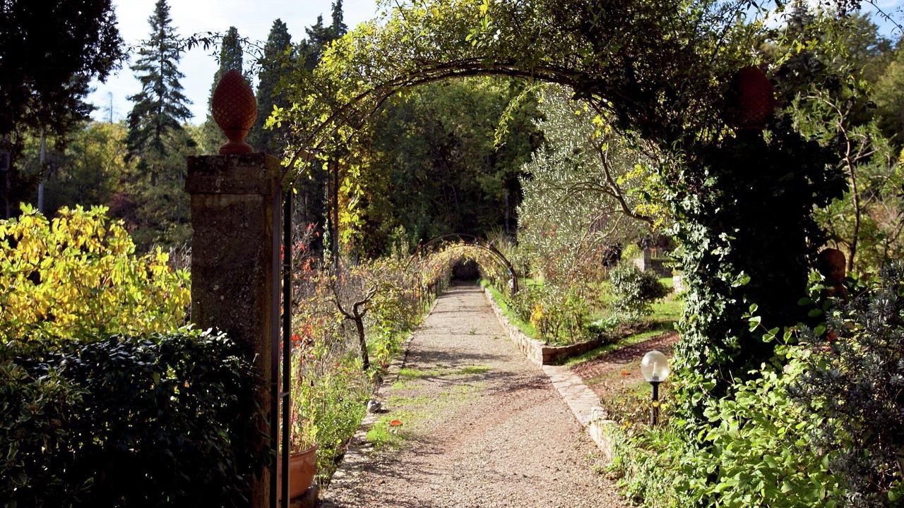 Photo of Outdoor in Greve in Chianti