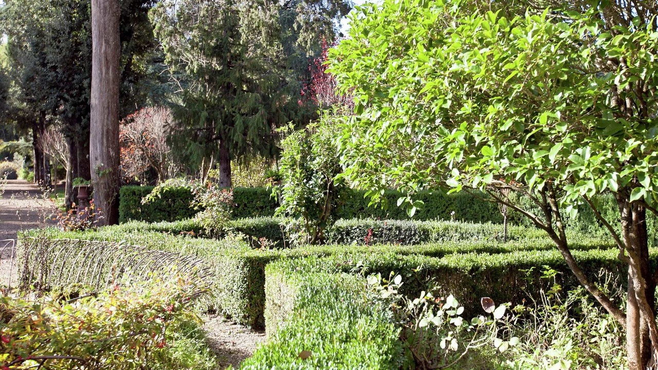 Photo of Outdoor in Greve in Chianti