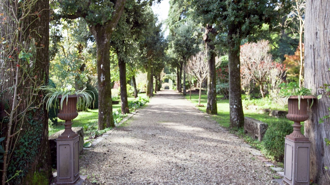 Photo of Outdoor in Greve in Chianti