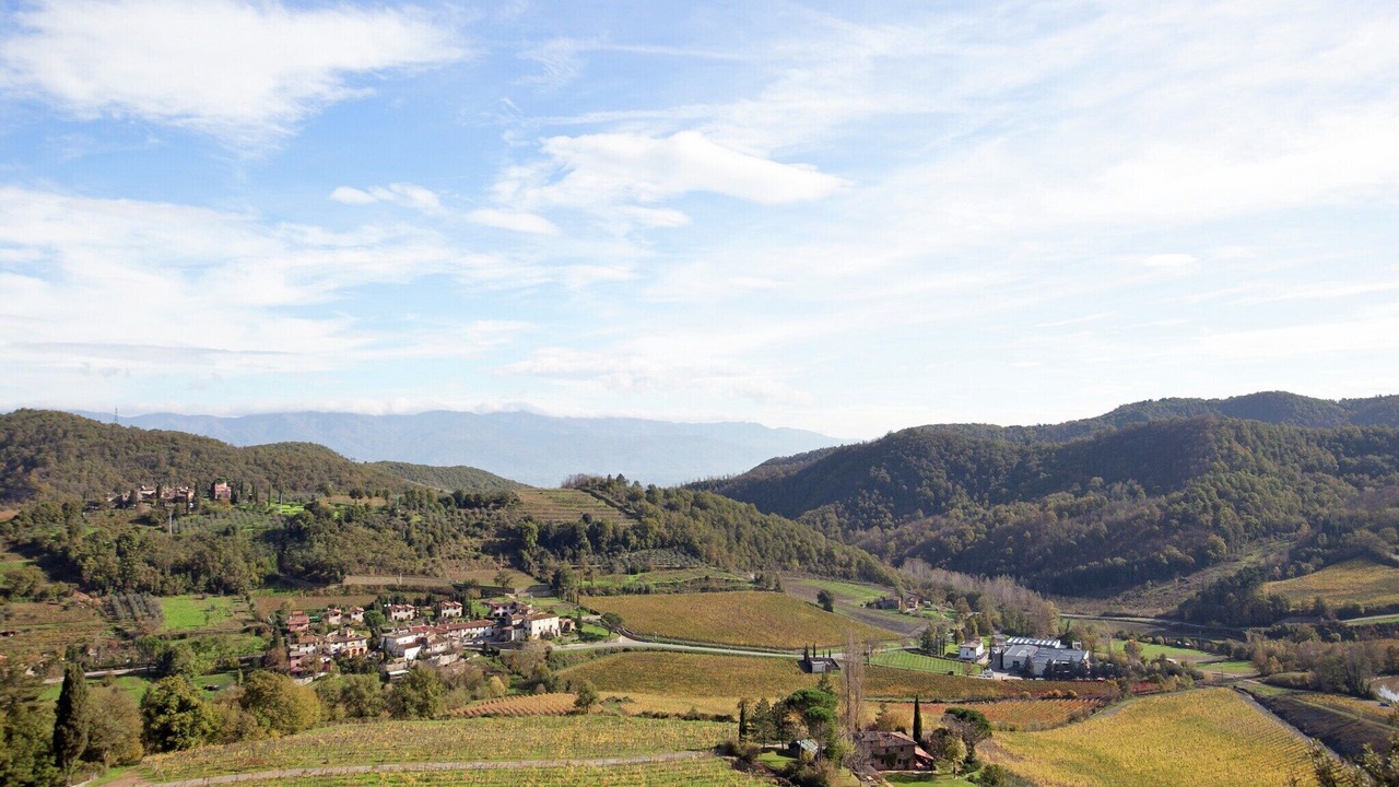 Photo of Others in Greve in Chianti