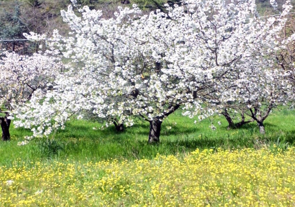 Photo of Outdoor in Montefortino