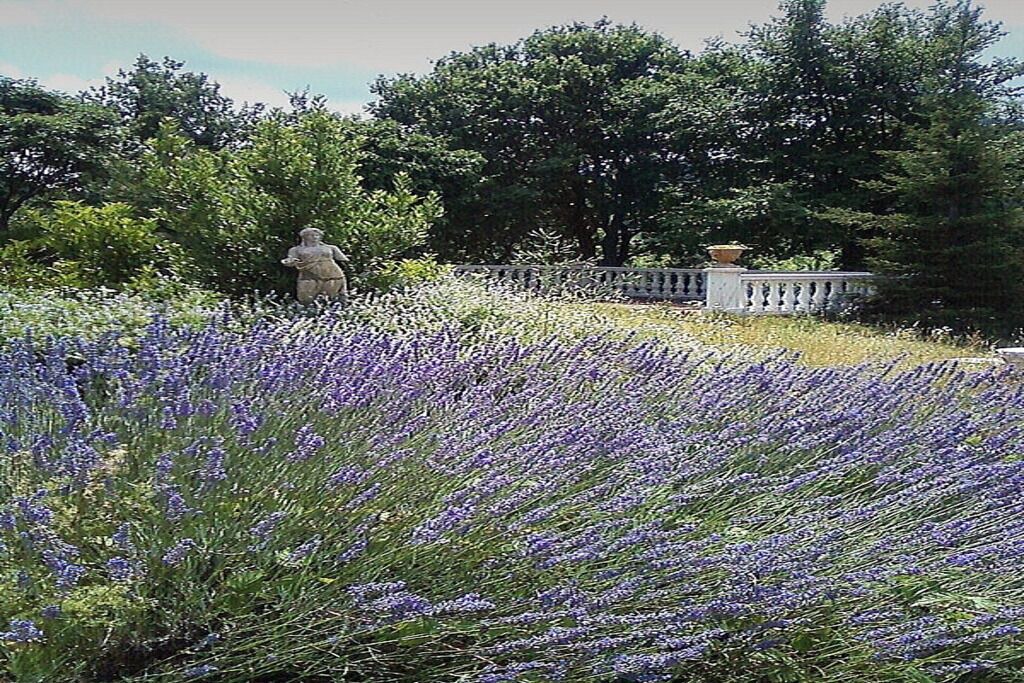 Photo of Outdoor in Montefortino