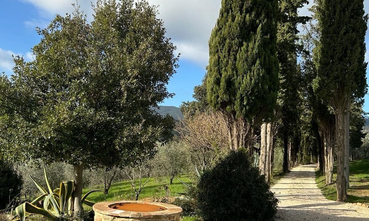 Photo of Outdoor in Suvereto