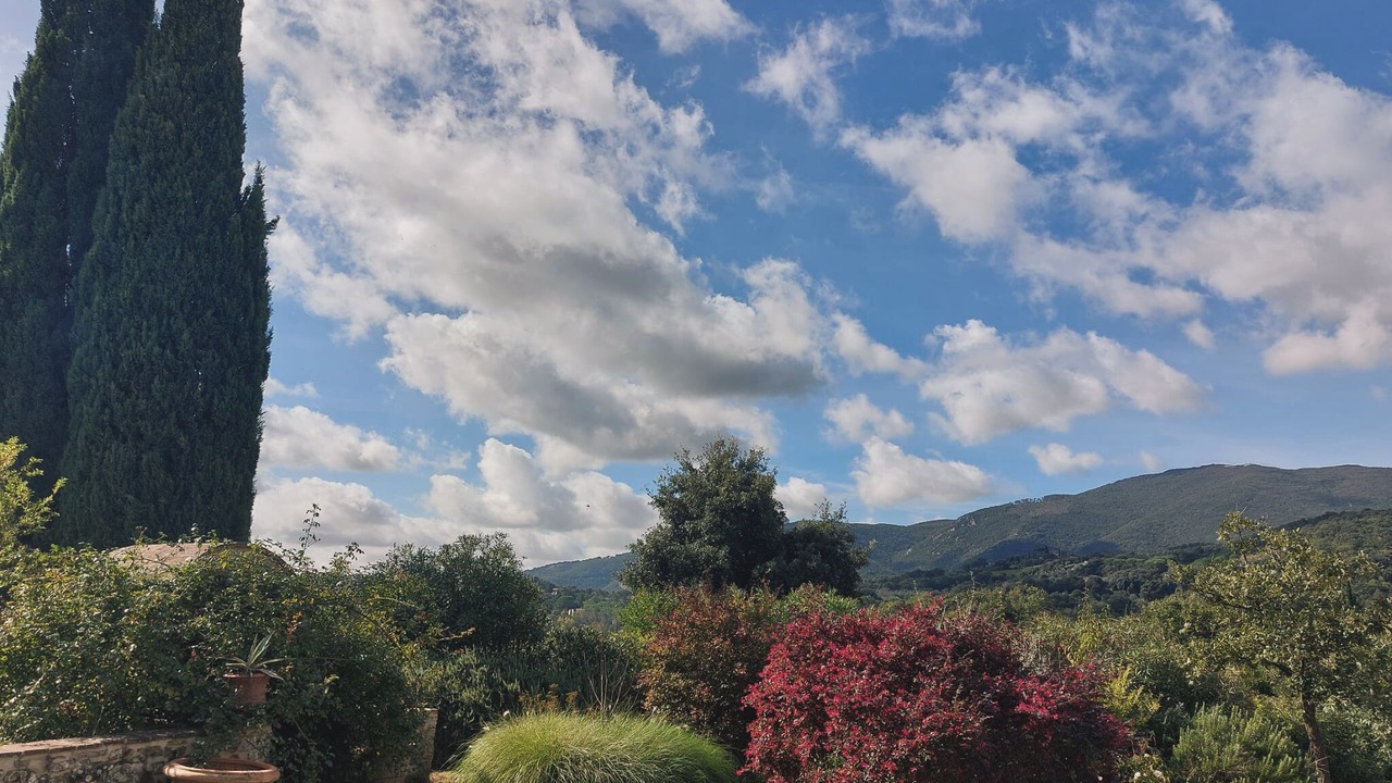 Photo of Outdoor in Suvereto