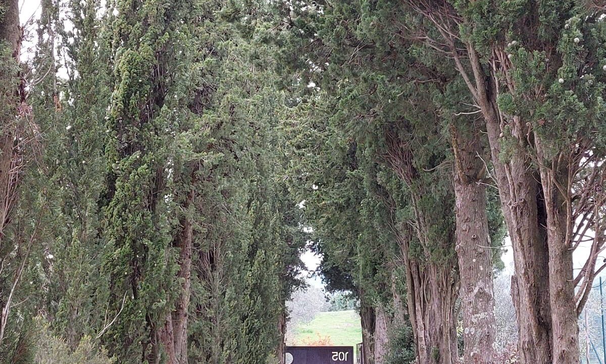 Photo of Outdoor in Suvereto