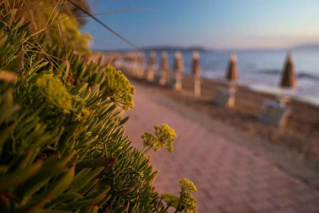 Photo of Others in San Vincenzo