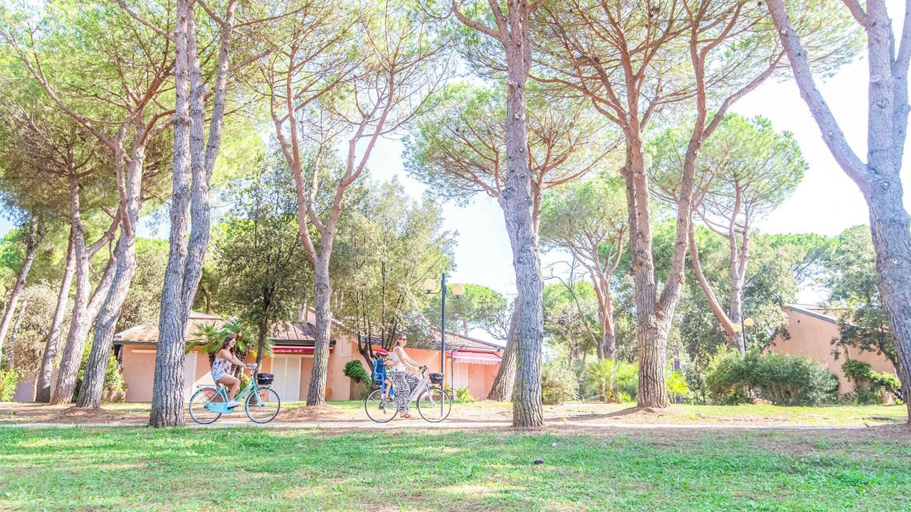 Photo of Outdoor in San Vincenzo