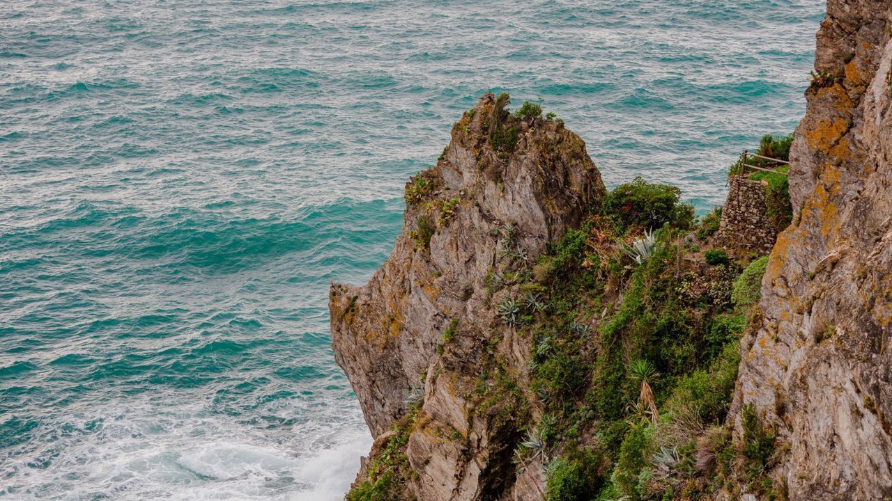 Photo of Others in Manarola