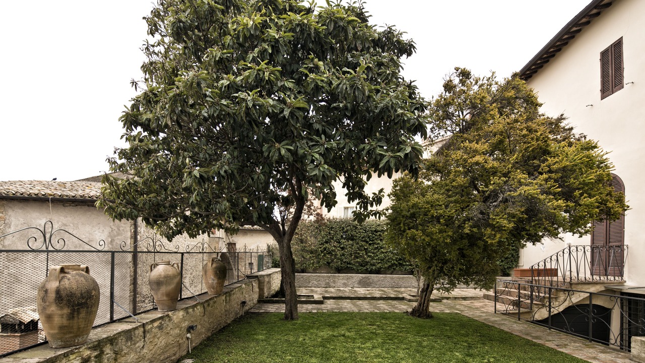 Photo of Outdoor in Montefalco