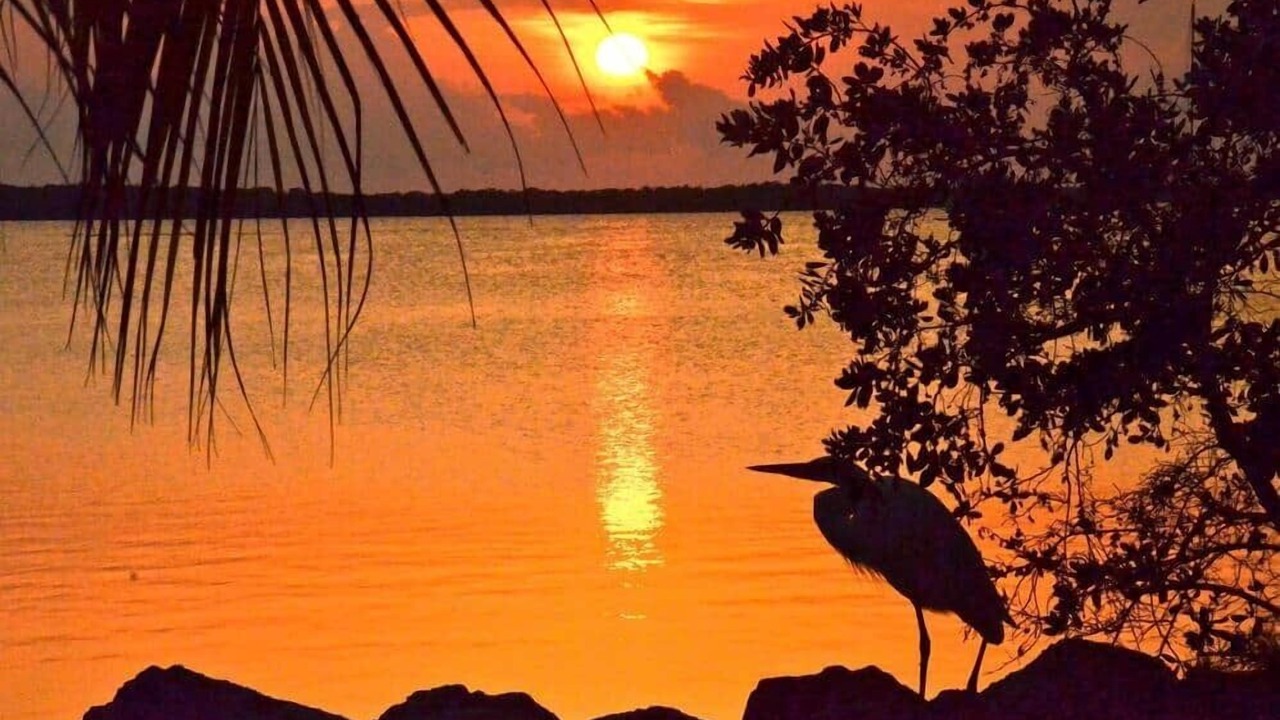 Photo of Others in Key Largo