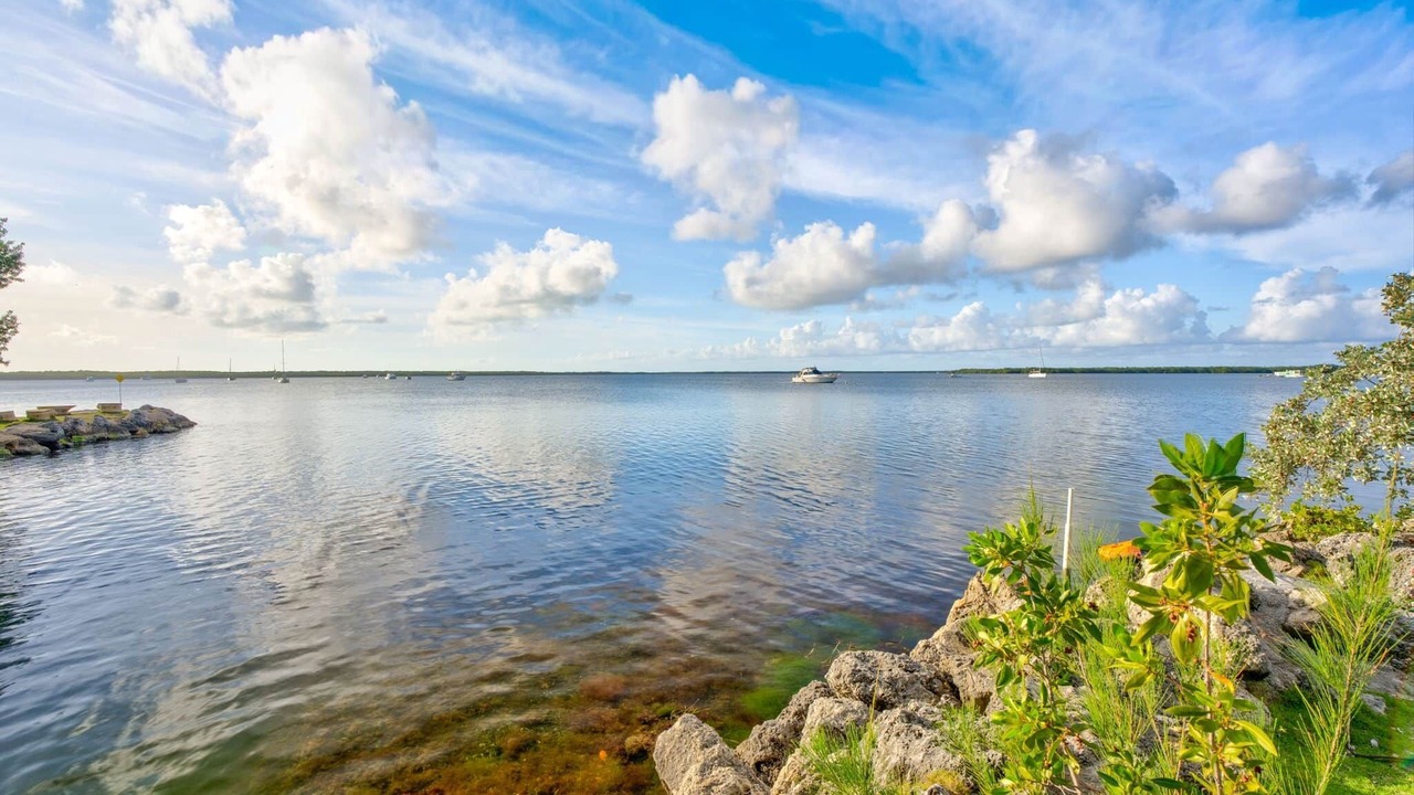Photo of Others in Key Largo