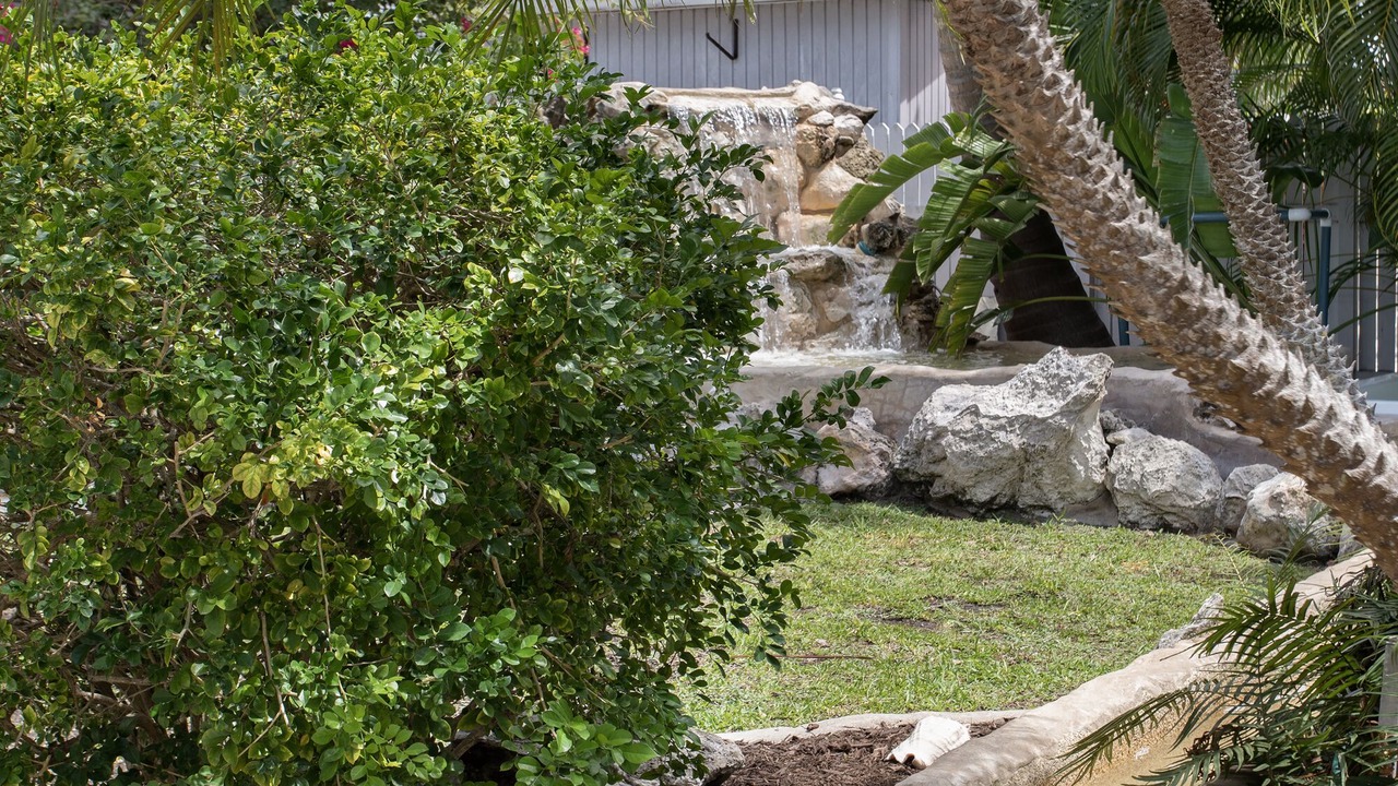 Photo of Outdoor in Big Coppitt Key