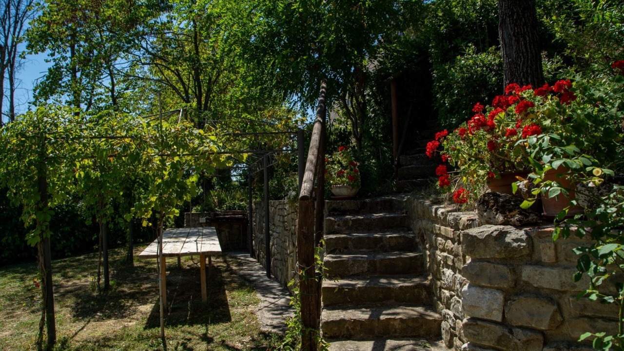 Photo of Outdoor in Monte San Martino