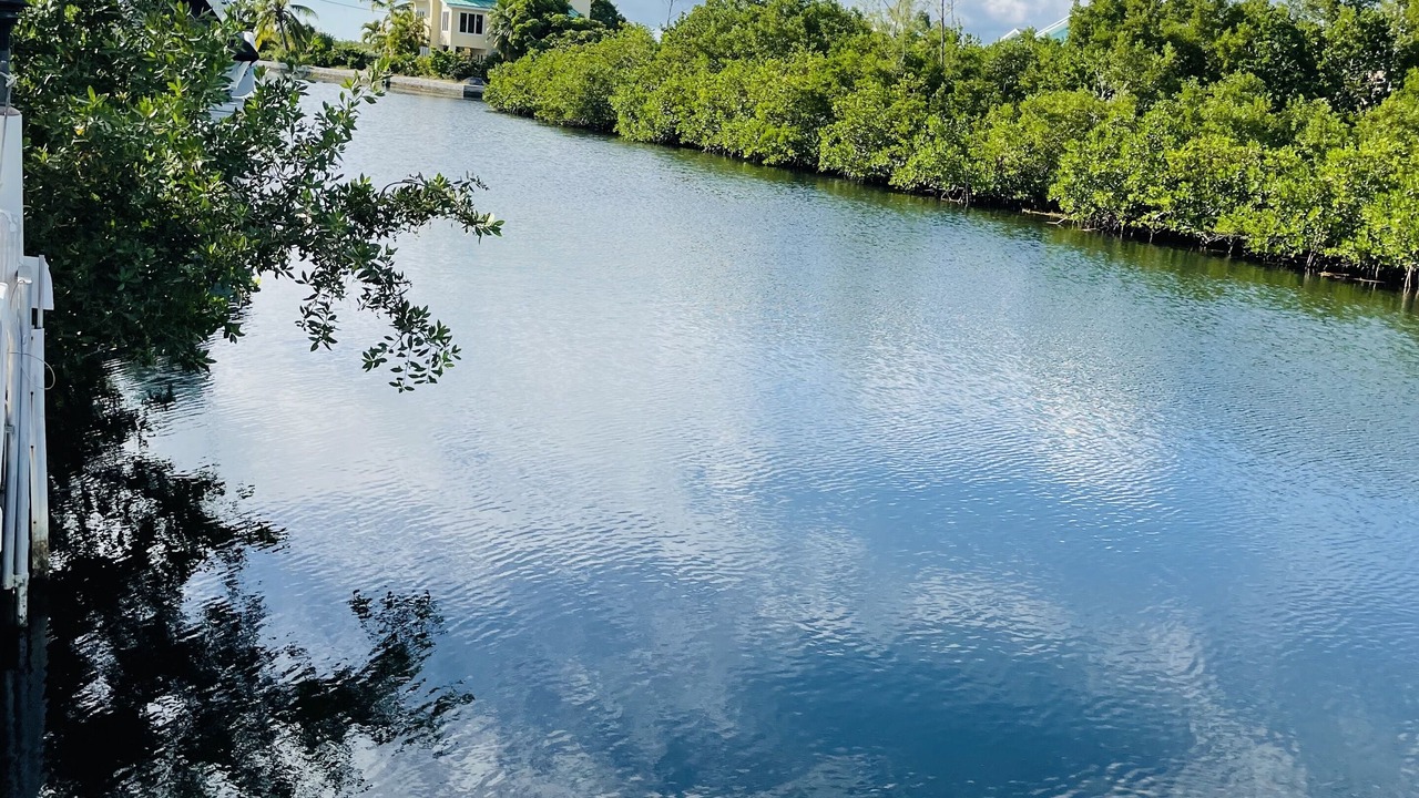 Photo of Outdoor in Big Pine Key