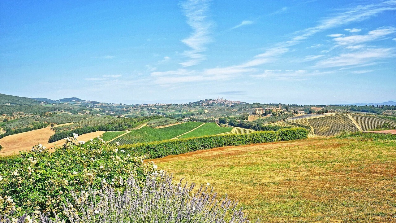 Photo of Others in San Gimignano