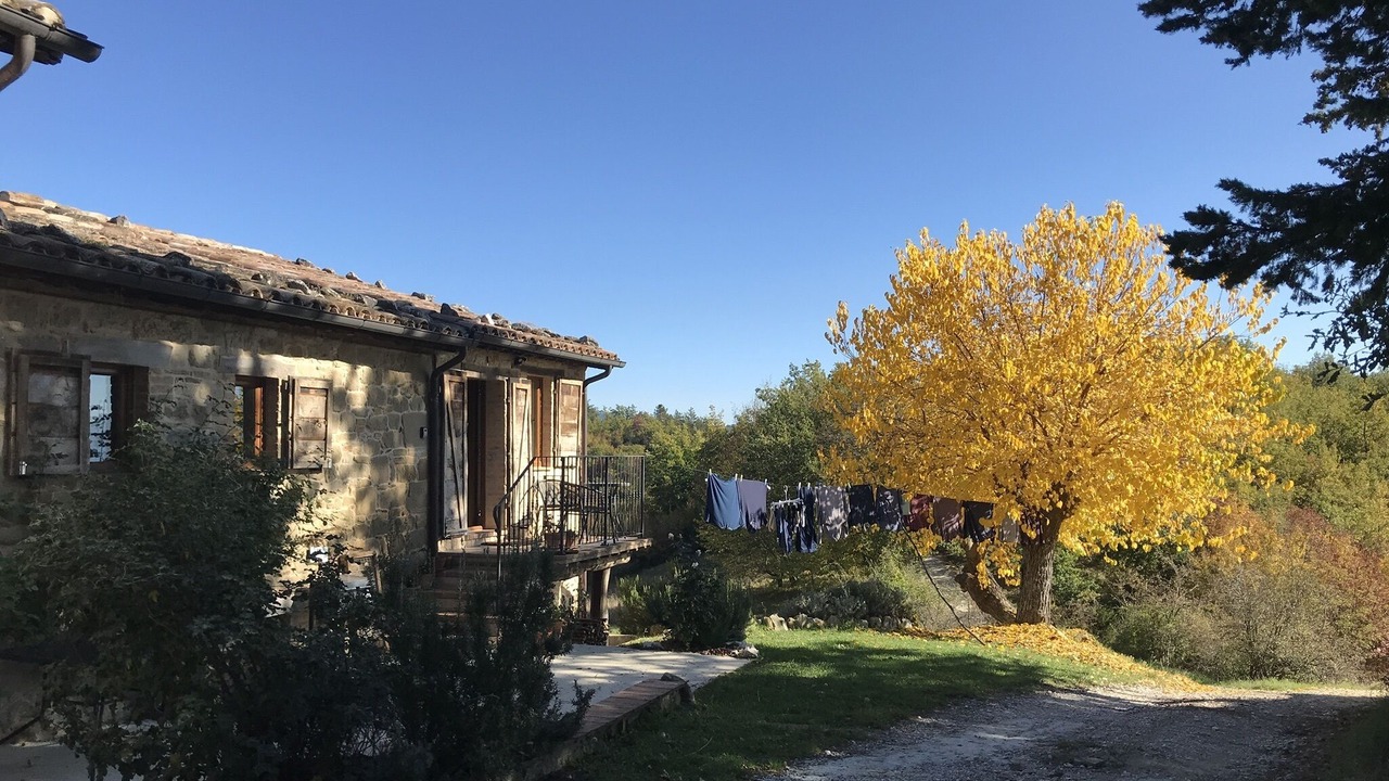 Photo of Outdoor in Comunanza