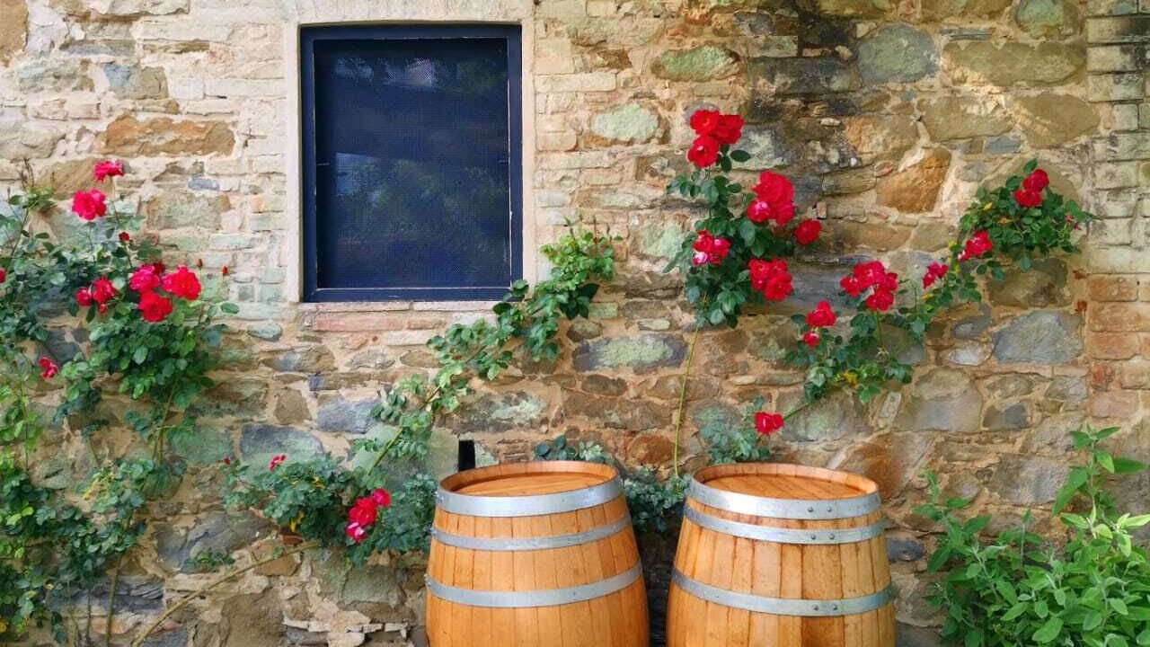Photo of Outdoor in Torgiano