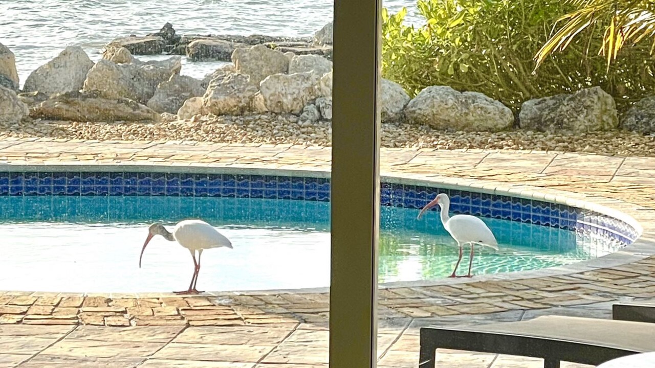 Photo of Outdoor in Islamorada