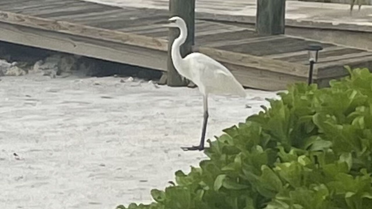 Photo of Others in Islamorada