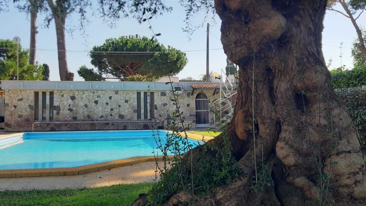 Photo of Outdoor in Latina Lido