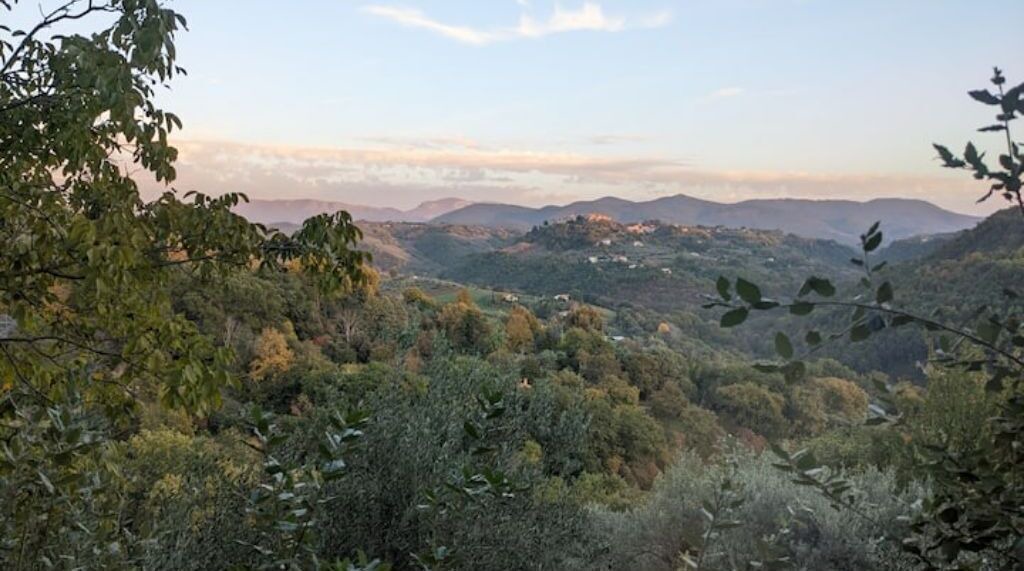 Photo of Outdoor in Poggio San Lorenzo