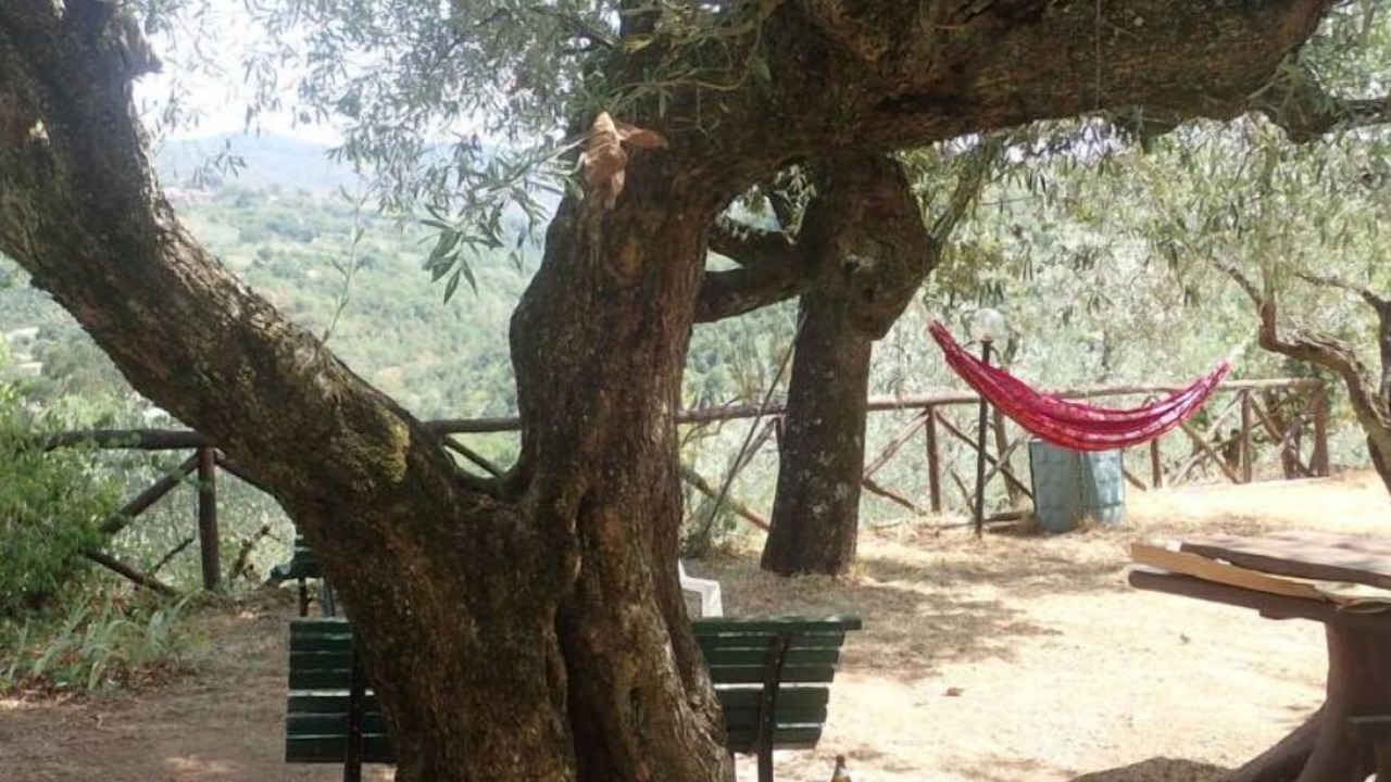 Photo of Outdoor in Poggio San Lorenzo