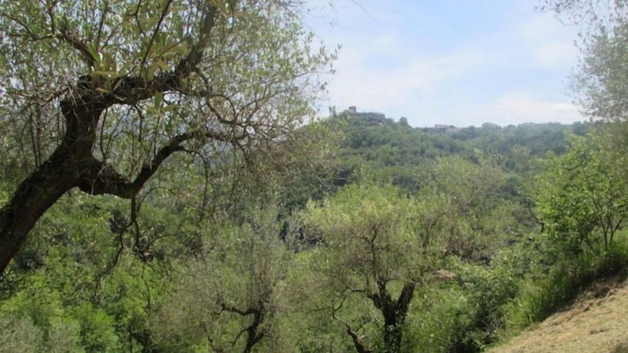 Photo of Others in Poggio San Lorenzo