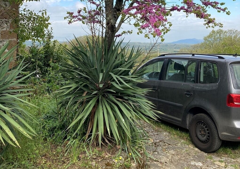 Photo of Outdoor in San Lorenzo Nuovo