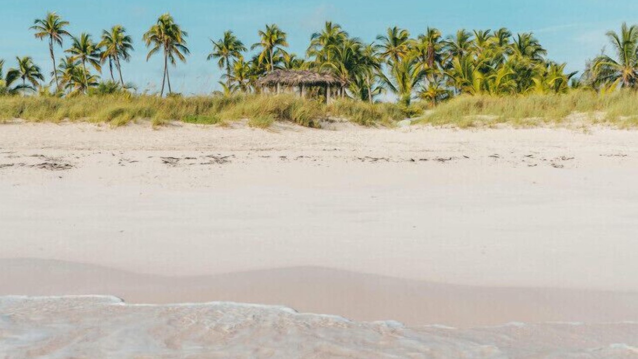 Photo of Others in Key West
